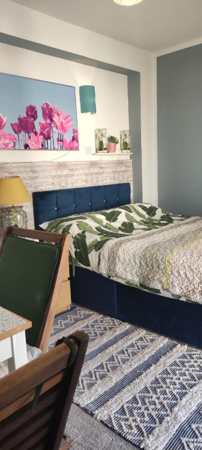Joanna'S Studio , Key Locker By Whatsapp Own Entrance, Own Bathroom Youghal Zewnętrze zdjęcie
